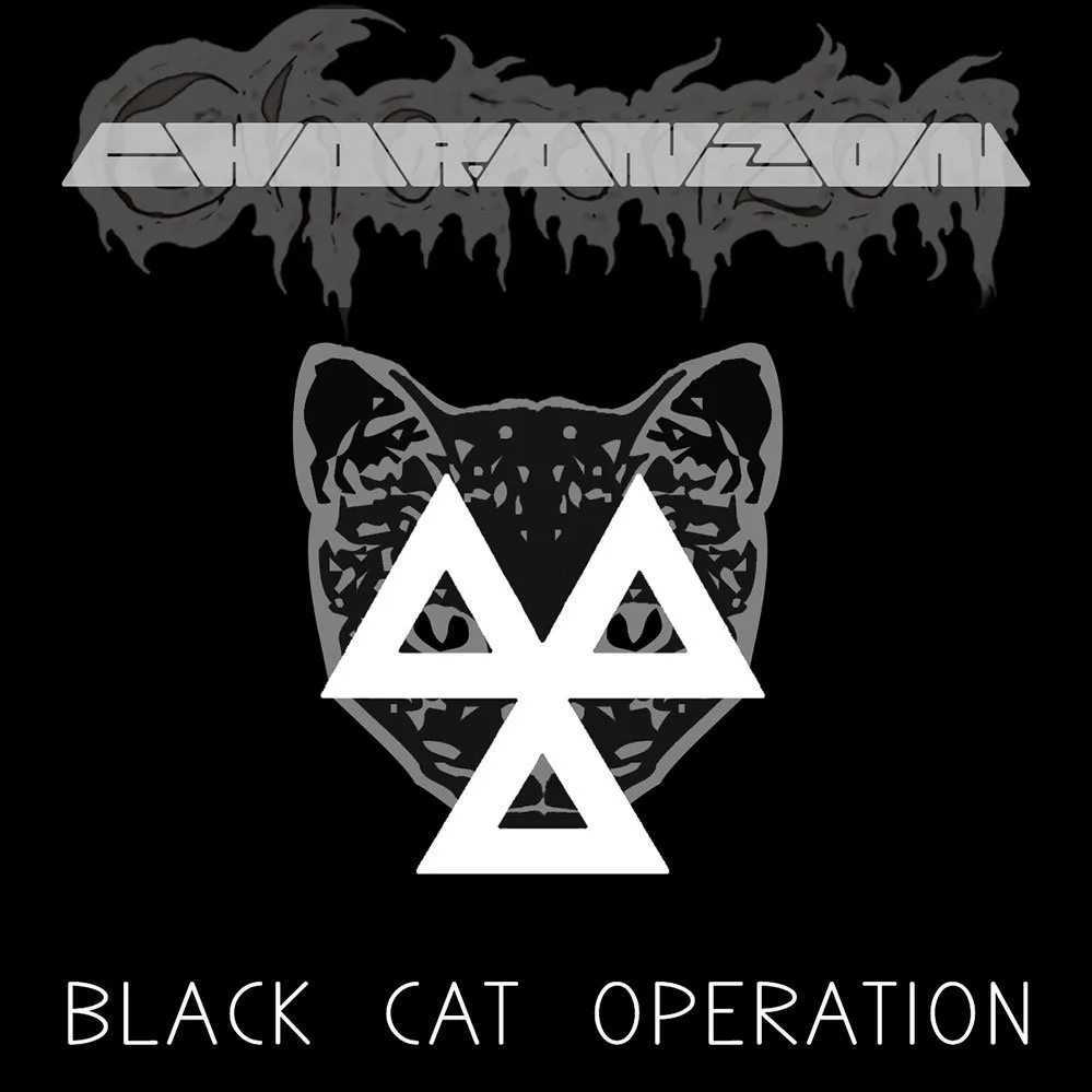 Black Cat Operation cover