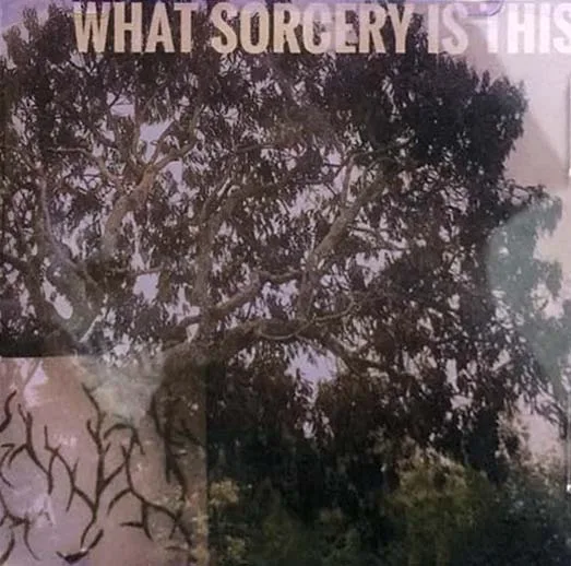 What Sorcery Is This? cover