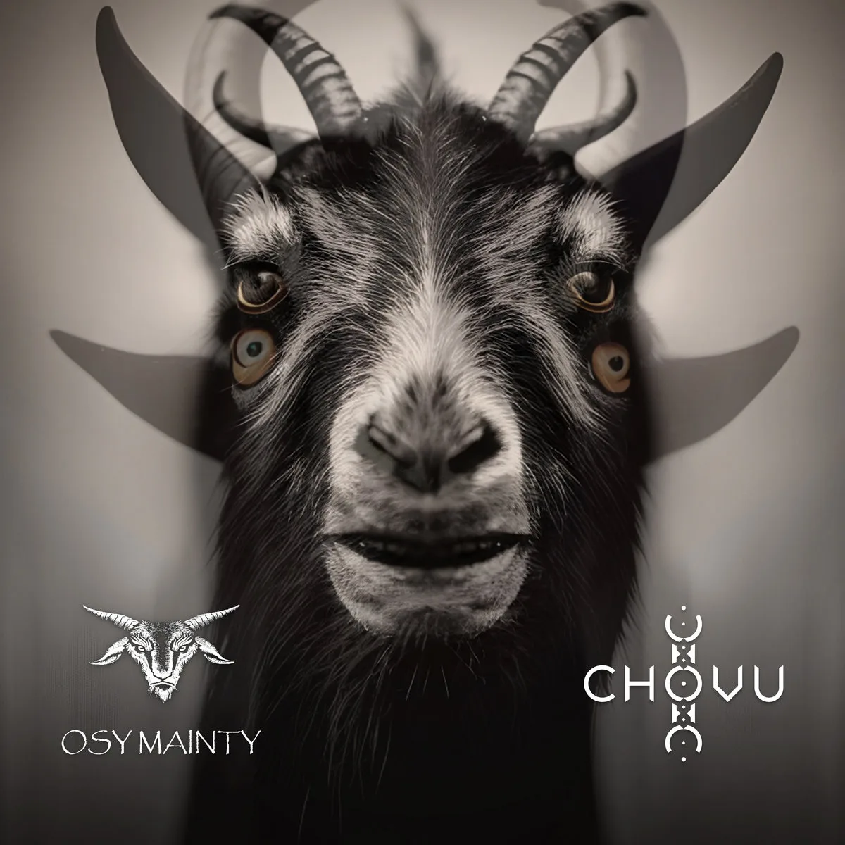 Osy Mainty Is Chovu cover