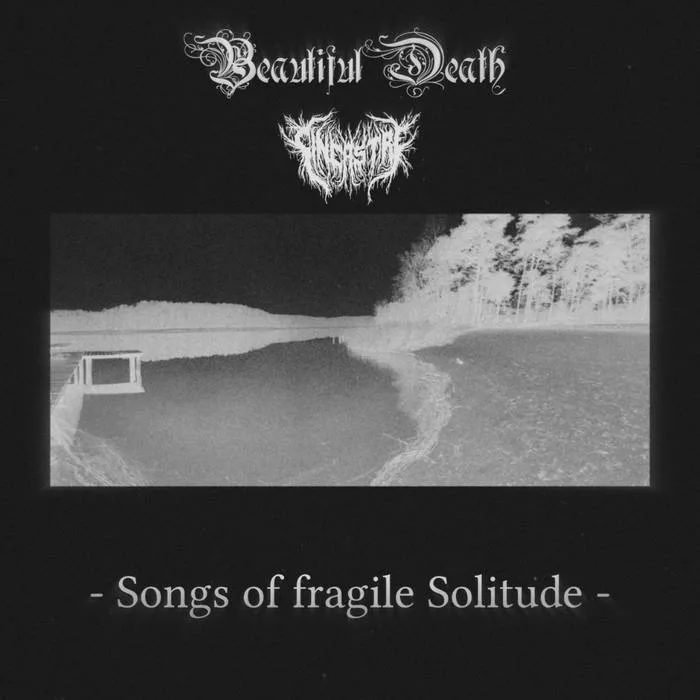 Songs of Fragile Solitude cover