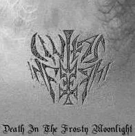 Death in the Frosty Moonlight cover