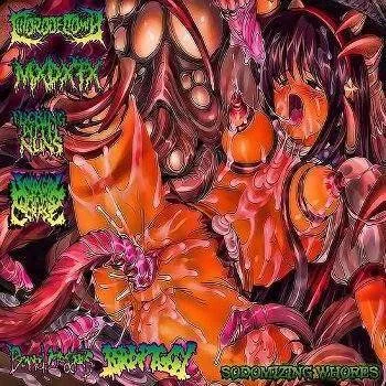 Sodomizing Whores cover
