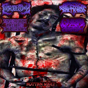 Rotten Meat cover