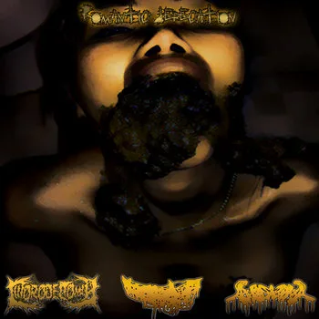 Romantic Defecation cover