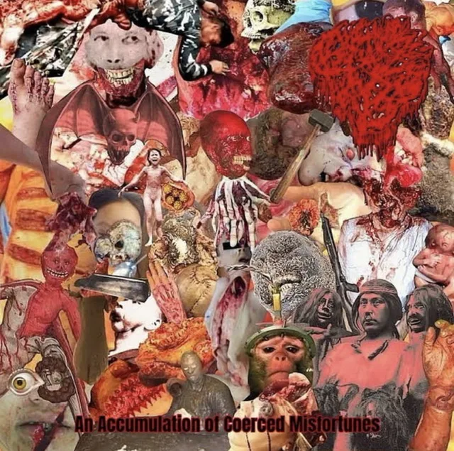 An Accumulation of Coerced Misfortunes cover