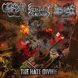 The Hate Divide cover