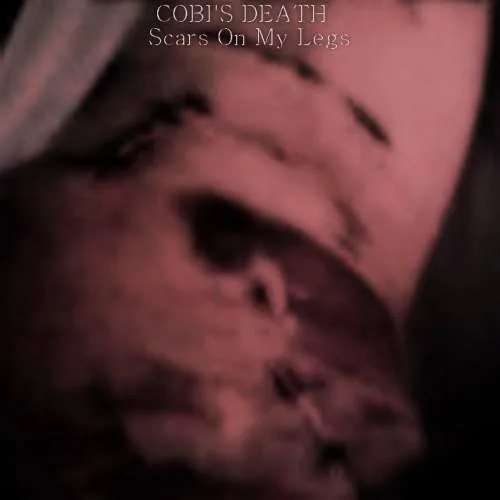 Scars On My Legs cover