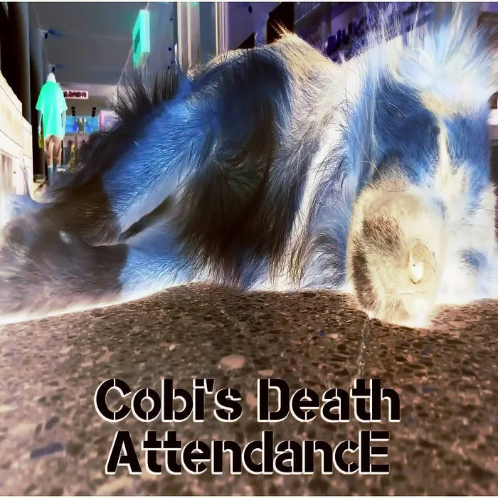 AttendancE cover