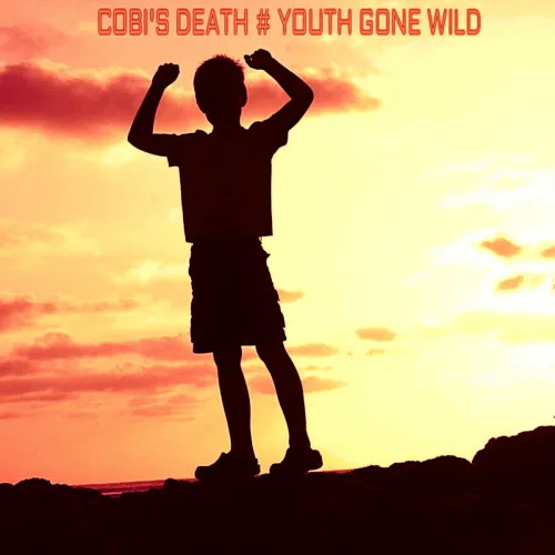 Youth Gone Wild cover