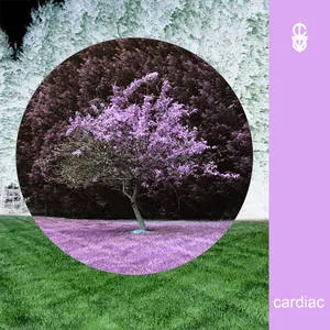 Cardiac cover