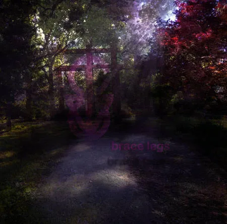 Brace Legs (Born of Osiris cover) cover