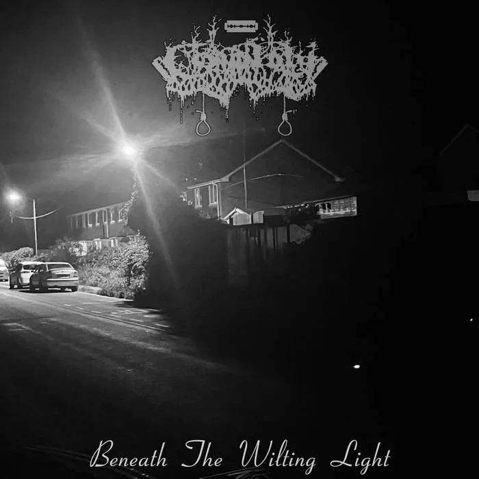 Beneath the Wilting Light cover
