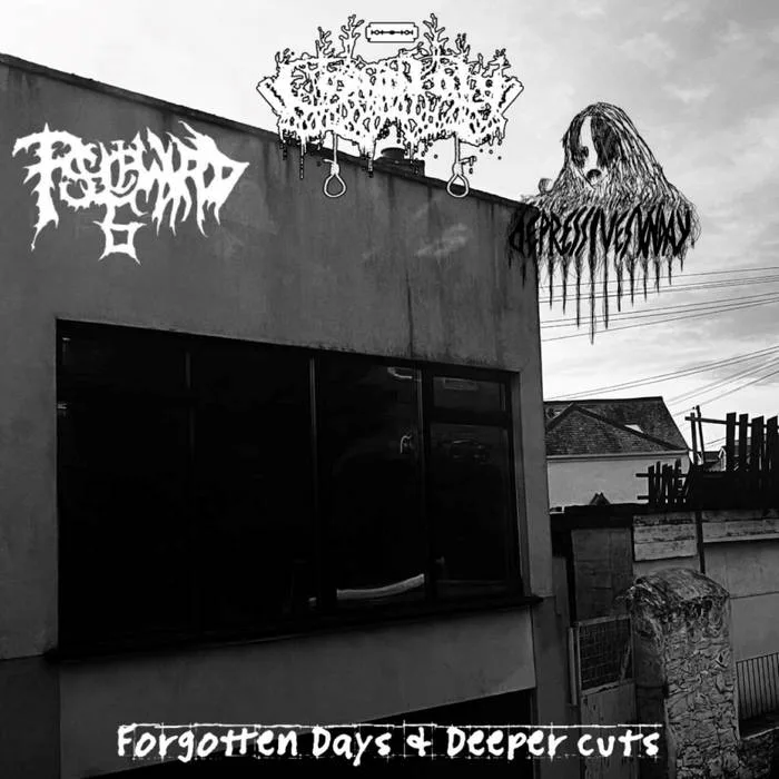 Forgotten Days & Deeper Cuts cover