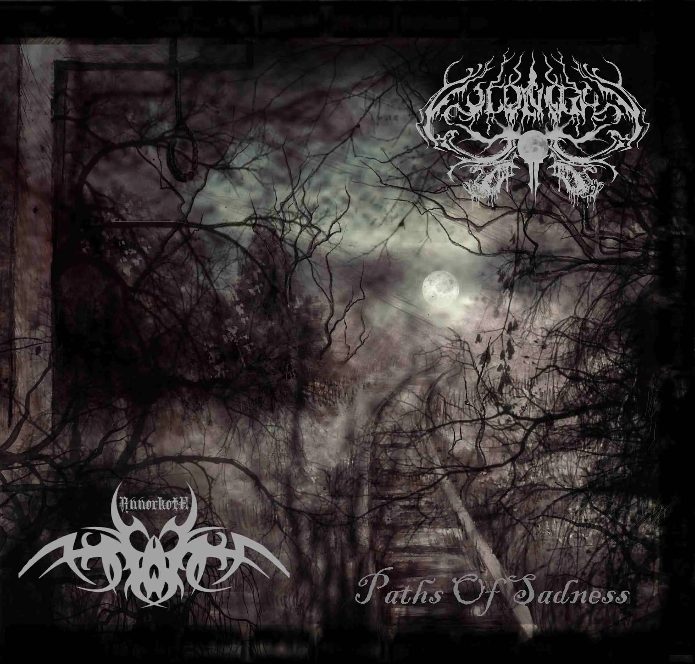 Paths of Sadness cover