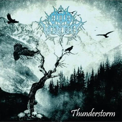 Thunderstorm cover