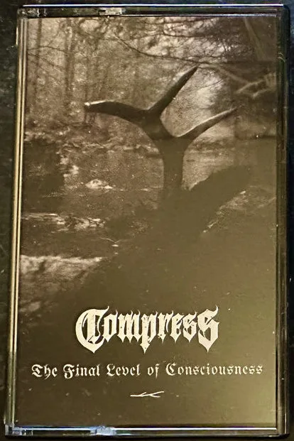 The Final Level of Consciousness cover