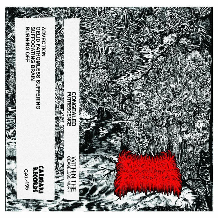 Within the Ceaseless Murk cover