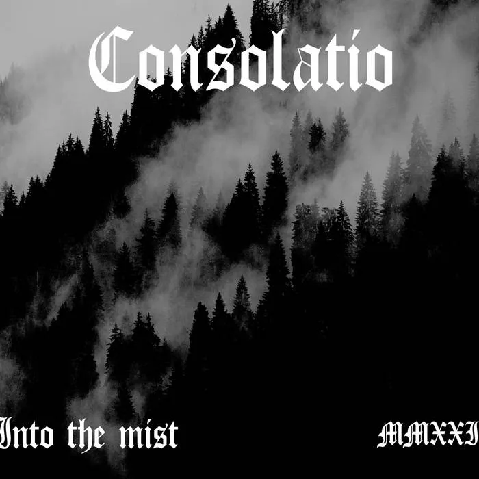 Into the Mist cover