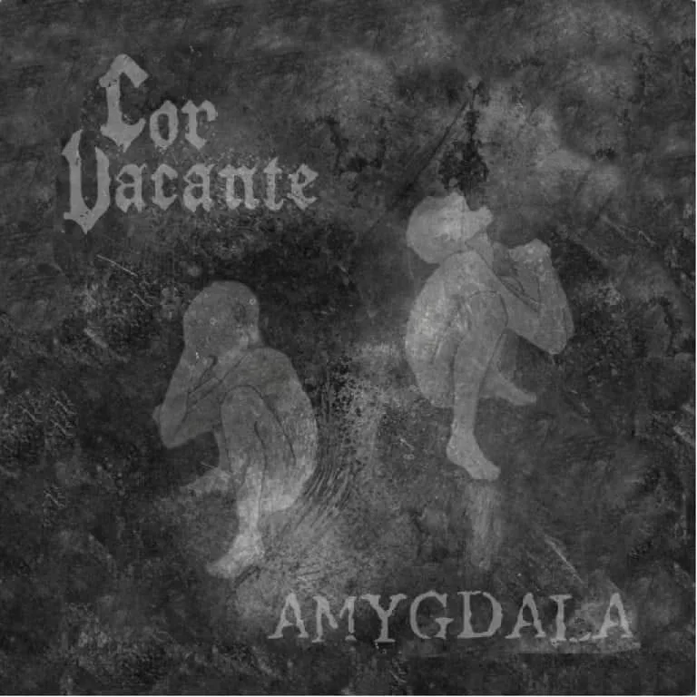 Amygdala cover
