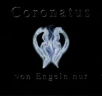 Von Engeln nur cover