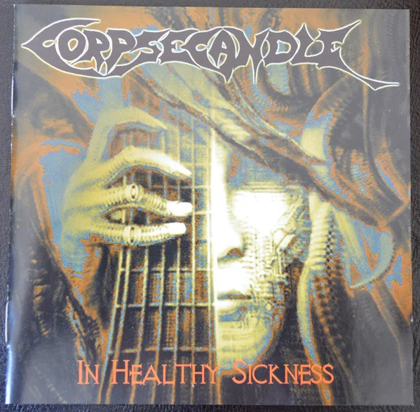 In Healthy Sickness cover