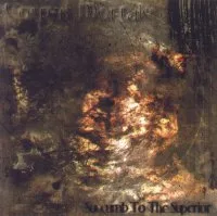 Succumb to the Superior cover