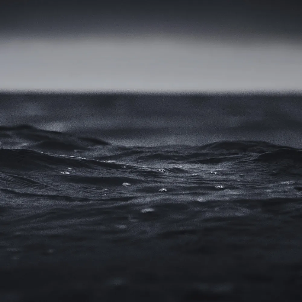 The Blackened Sea cover