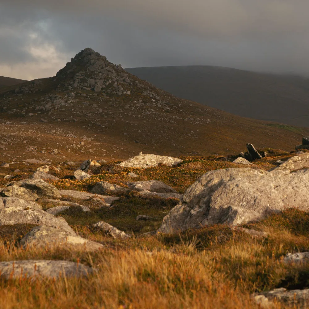 Ember | hoffnungsträger cover