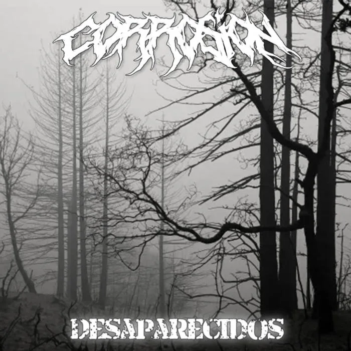 Desaparecidos cover