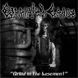 Grind in the Basement cover