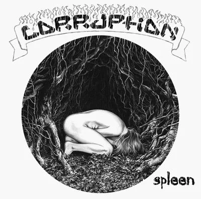 Spleen cover