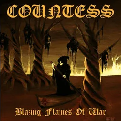 Blazing Flames of War cover