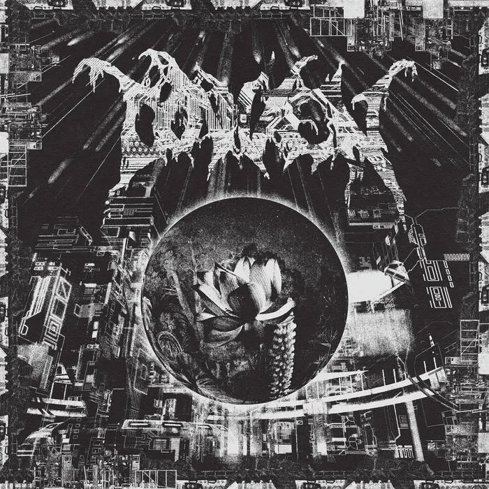 Covven cover