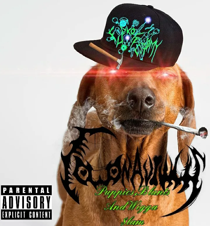 Puppies, Blunts and Wigga $lam cover