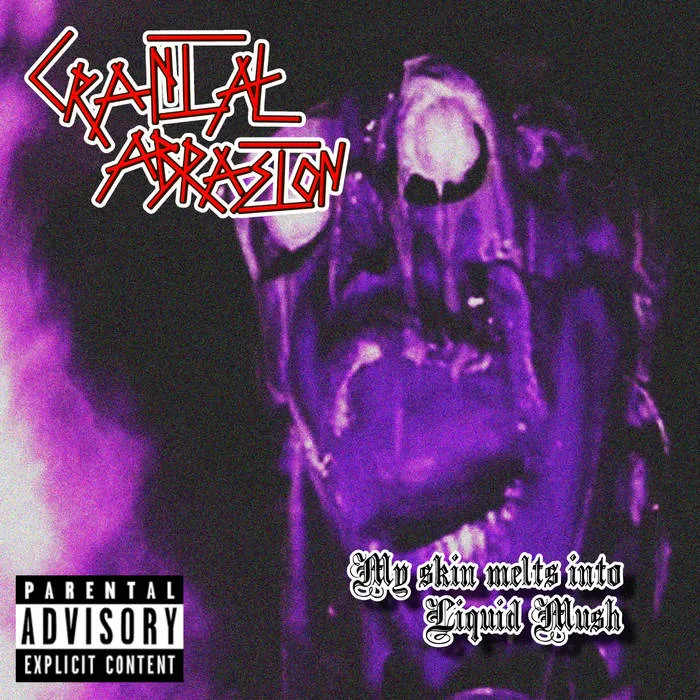 My Skin Melts into Liquid Mush cover