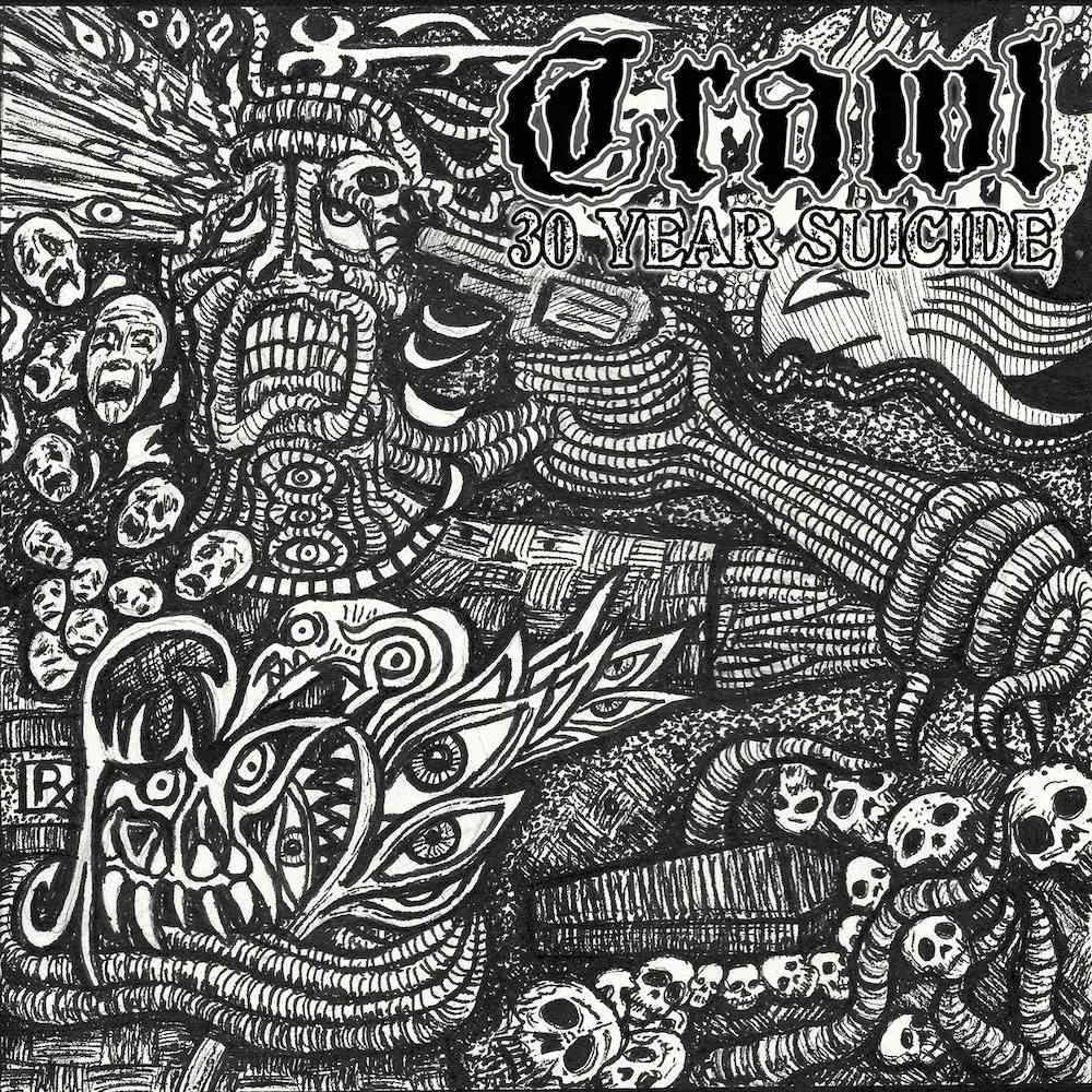 30 Year Suicide cover