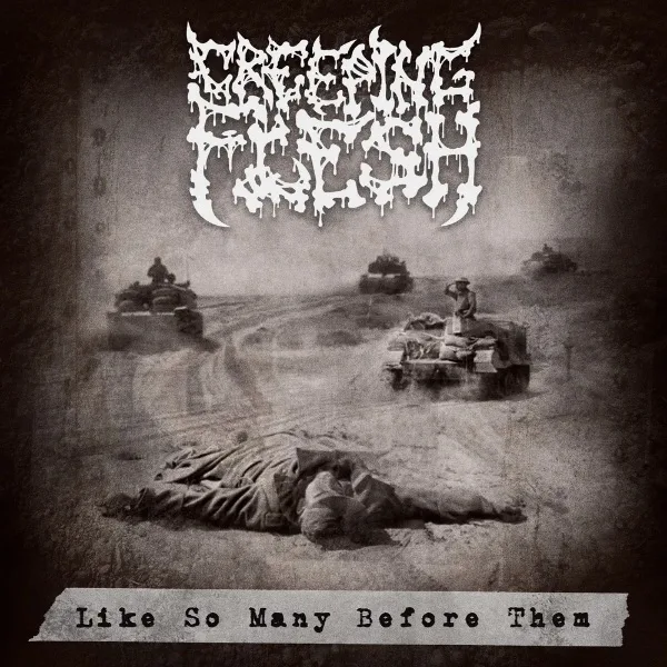 Like So Many Before Them cover