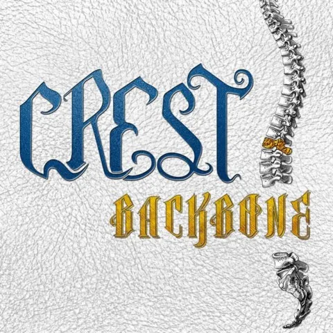 Backbone cover