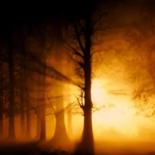 Garden of Shadows cover