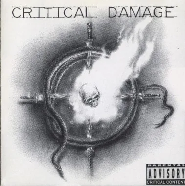 Critical Damage cover