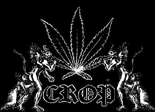Demo 09 cover