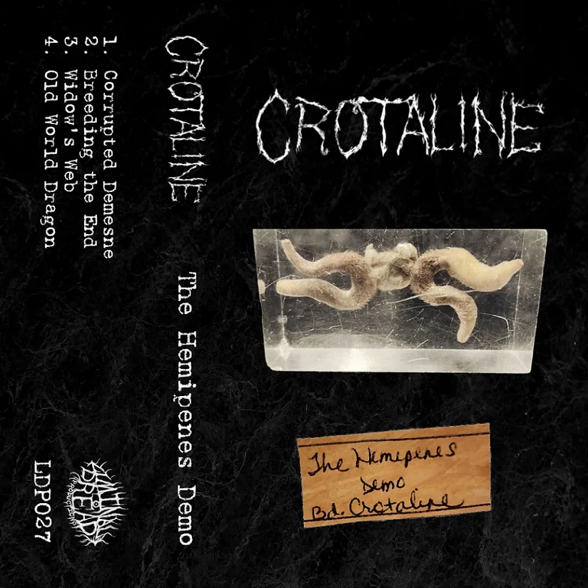 The Hemipenes Demo cover