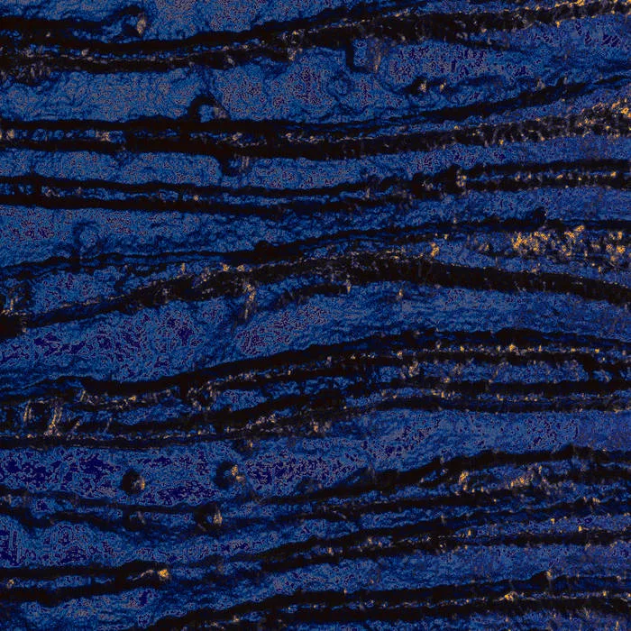 The Light Is Mine cover