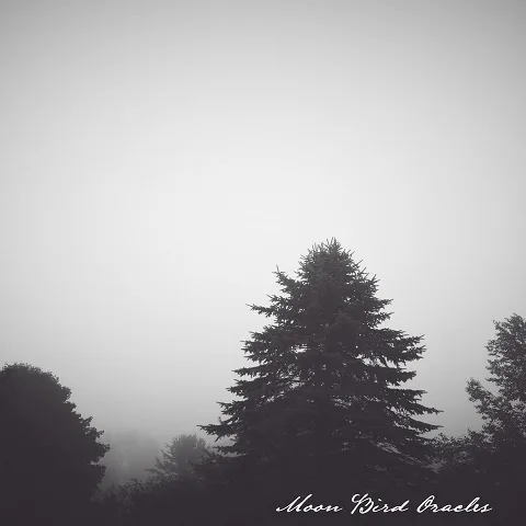 Moon Bird Oracles cover