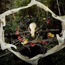 Seasonal Remnants cover