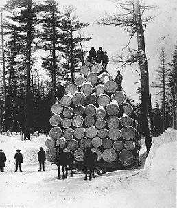 Blood on the Snow cover