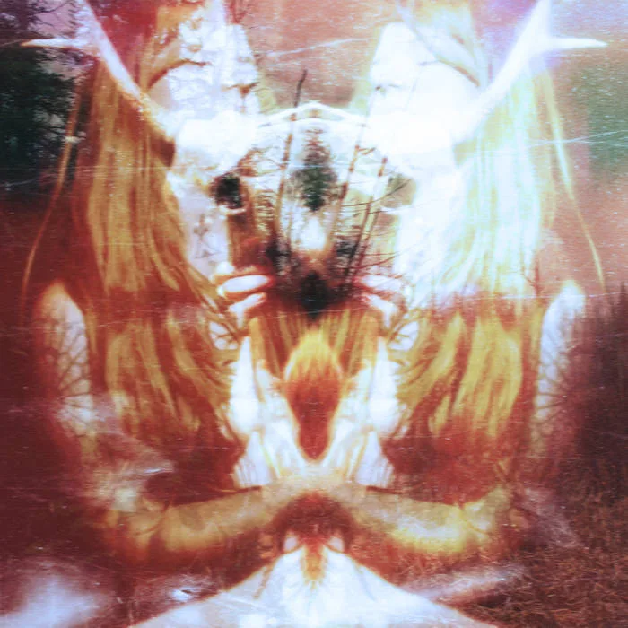 Tundra Mistress cover