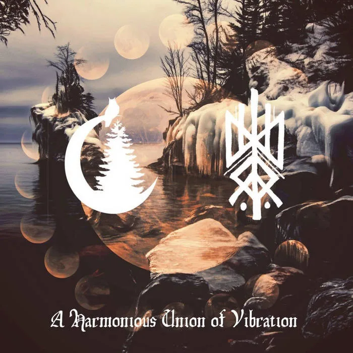 A Harmonious Union of Vibration cover