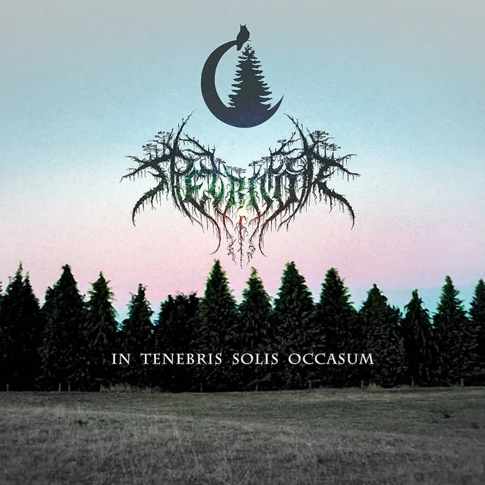 In Tenebris Solis Occasum cover