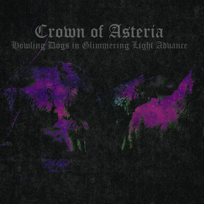 Howling Dogs in Glimmering Light Advance cover